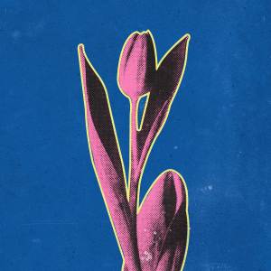 ดาวน์โหลดและฟังเพลง you gave me tulips พร้อมเนื้อเพลงจาก clumby