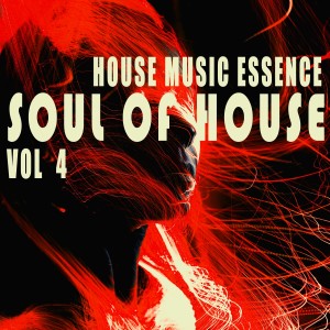 Dengarkan Lord and Lady (Feel the Bassline Mix) lagu dari Ams Style dengan lirik