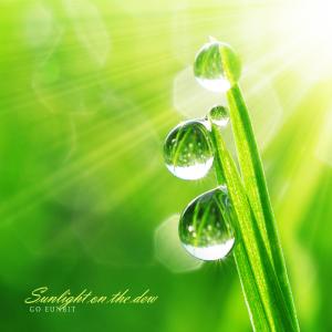 Sunlight on the dew dari Ko Eunbit