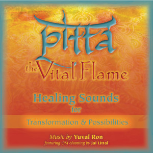 Listen to Pitta: The Vital Flame (Healing Sounds for Transformation & Possibilities) (feat. Jai Uttal) song with lyrics from Yuval Ron
