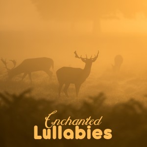 ดาวน์โหลดและฟังเพลง Yesterday's Memory (其他) พร้อมเนื้อเพลงจาก Sleep Lullabies