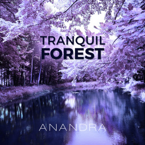 Dengarkan Tranquil Morning Forest lagu dari Anandra dengan lirik