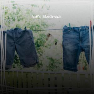 收听Wily Seer的Maximal Lacrosse歌词歌曲