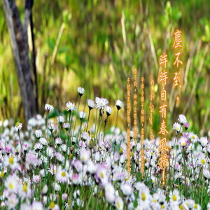 ดาวน์โหลดและฟังเพลง 午枕觉来闻语鸟, 欹眠似听朝鸡早 พร้อมเนื้อเพลงจาก 罗启瑞