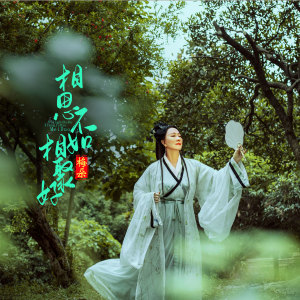 Dengarkan 相思不如相聚好 lagu dari 梅朵 dengan lirik