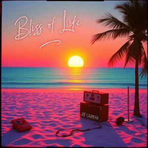Joe Cabrera的專輯Bliss of Life