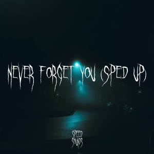 Speed Sounds的专辑Never Forget You (Sped Up)