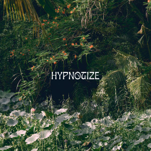 Dengarkan Hypnotize lagu dari Costlywood dengan lirik