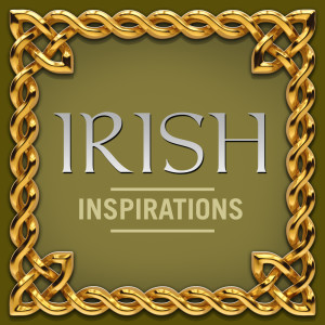 Listen to Turkey in the Straw song with lyrics from Sean Keane