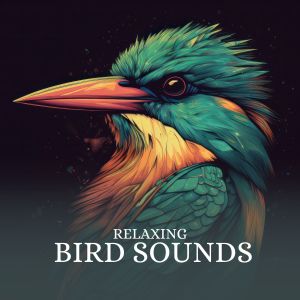 Bird Sounds的专辑Relaxing Bird Sounds