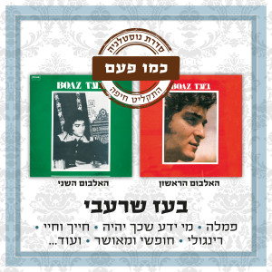 收听בועז שרעבי的געגועים歌词歌曲