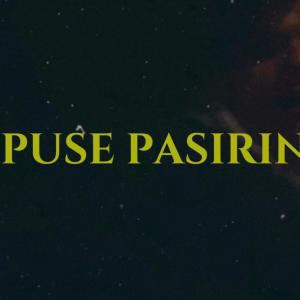 Lil Dundulis的專輯PUSE PASIRINK (feat. Revi) [Explicit]