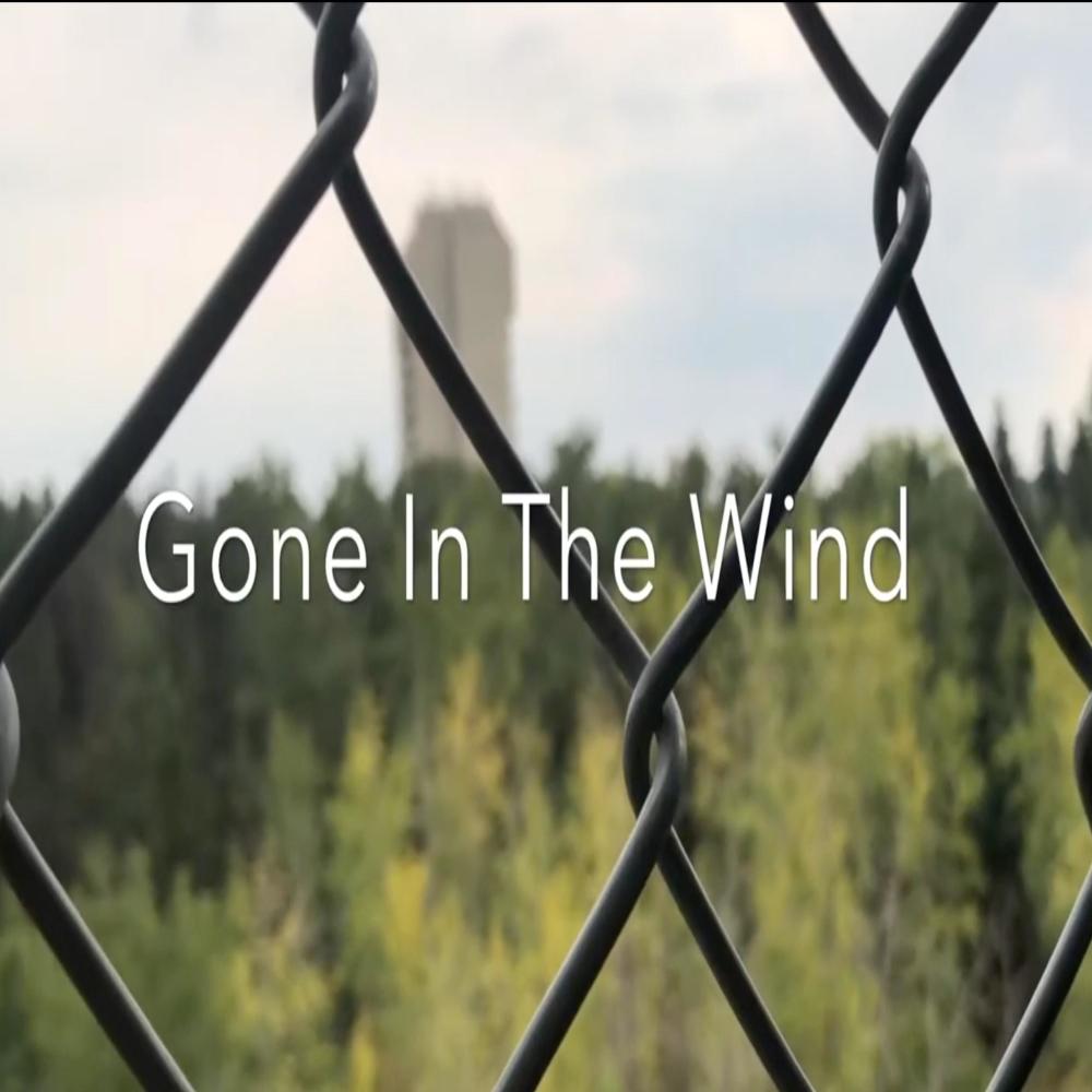 Gone In The Wind (Explicit)