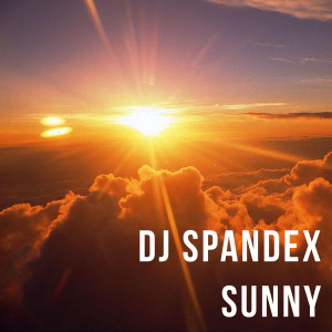 收听DJ Spandex的Sunny歌词歌曲