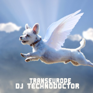 Listen to Transeurope song with lyrics from Dj Technodoctor