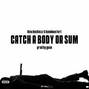 收聽Rico Recklezz的catch a body or sum (feat. BandmanFari) (Explicit)歌詞歌曲