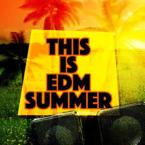 ดาวน์โหลดและฟังเพลง She's in Fashion พร้อมเนื้อเพลงจาก This Is EDM 2015