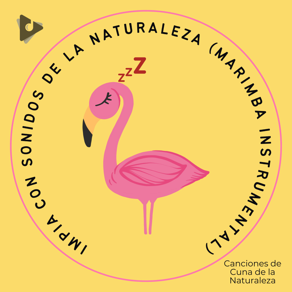 Impia Con Sonidos De La Naturaleza (Marimba Instrumental)