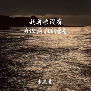 Album 我再也没有为你疯狂的勇气 from 卡迪哥