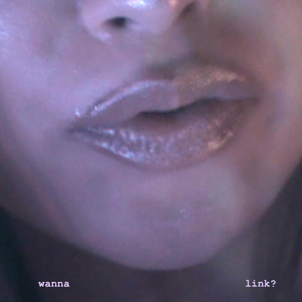 wanna link? (feat. YTC) (Explicit)