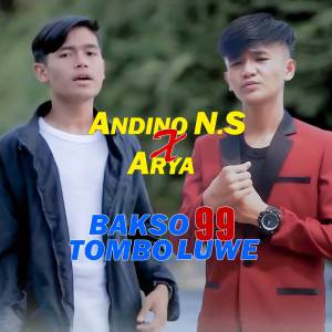 อัลบัม BAKSO 99 TOMBO LUWE ศิลปิน Andino N.S