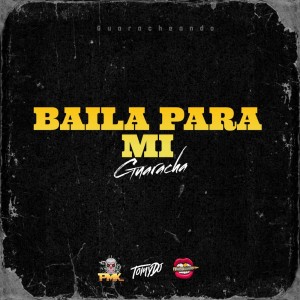 Dj Pirata的專輯Baila Para Mi (Guaracha) (Remix)