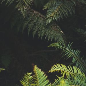 收听Deep Sleep的River of Dreams歌词歌曲