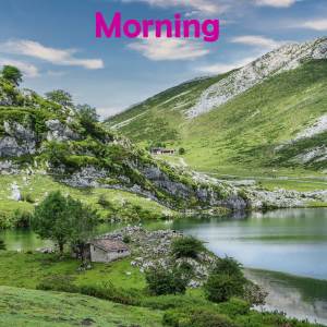 Album Morning from Paul Kelly