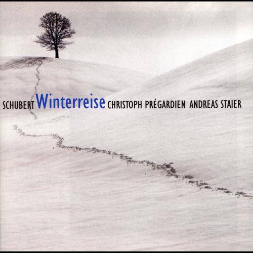 Schubert : Die Winterreise D911 : VIII Rückblick