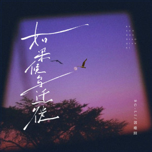 Album 如果候鸟迁徙 from BG-LI