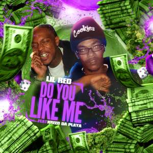 ดาวน์โหลดและฟังเพลง Do You Like Me (Explicit) พร้อมเนื้อเพลงจาก LIL RED