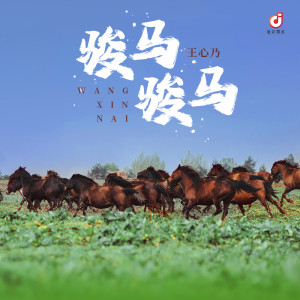 Album 骏马骏马 from 