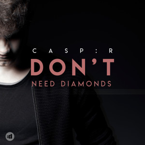 ดาวน์โหลดและฟังเพลง Don't Need Diamonds พร้อมเนื้อเพลงจาก CASP:R