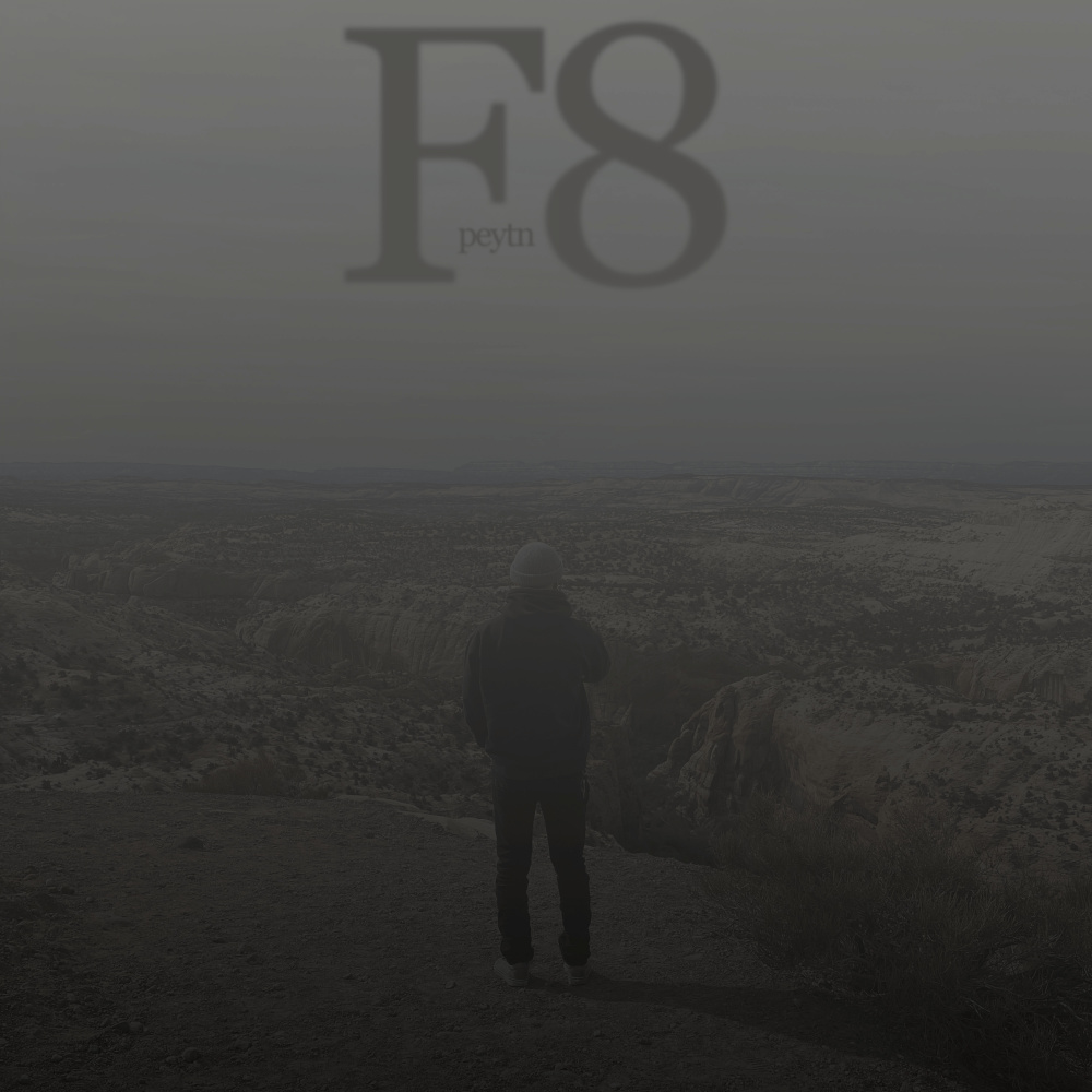 F8 (Explicit)
