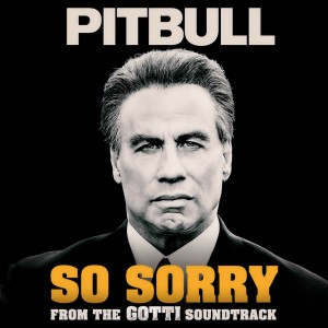 收聽Pitbull的So Sorry (Explicit)歌詞歌曲
