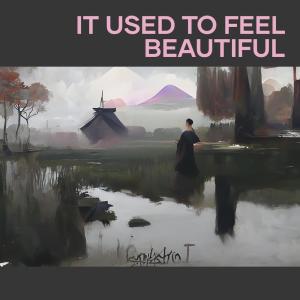 Album It Used to Feel Beautiful from Dominic