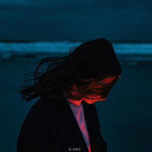 Album Night silence from D-Nike