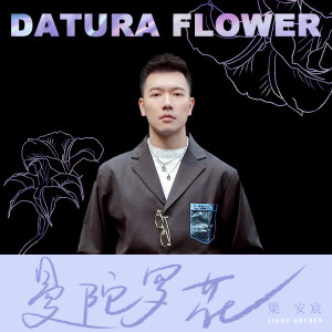 收听梁安宸的曼陀罗花歌词歌曲