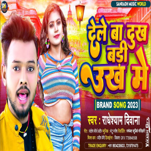 收聽Radheshyam Diwana的De Le Ba Dukh Badi Ukh Me (Bhojpuri)歌詞歌曲
