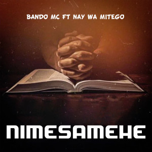 Album Nimesamehe from Bando MC