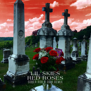 Lil Skies的專輯Red Roses (Sober Rob & Oshi Remix)