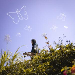 DEW的專輯Butterflies