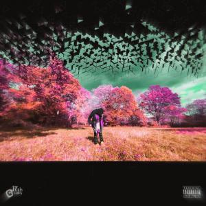 Listen to Android 17 (Explicit) song with lyrics from King AL