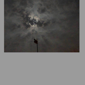 收听鹿大康-IMP的如果最后还是你歌词歌曲