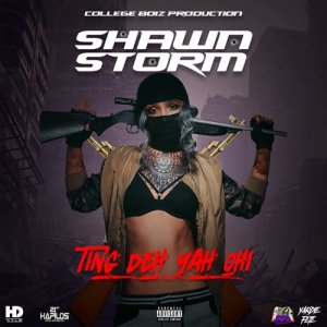 ดาวน์โหลดและฟังเพลง Ting Deh Yah Oh! (Radio Edit) พร้อมเนื้อเพลงจาก Shawn Storm
