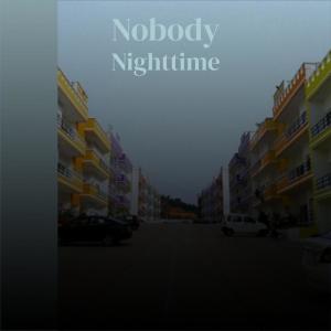 Album Nobody Nighttime from Various