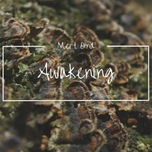 ดาวน์โหลดและฟังเพลง Awakening พร้อมเนื้อเพลงจาก Mert Omd
