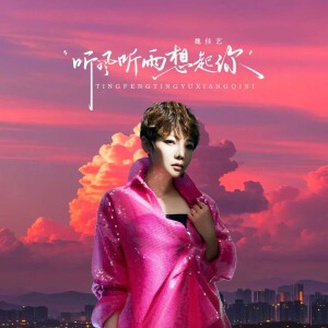 Album 听风听雨想起你（DJ阿尼版） from 魏佳艺