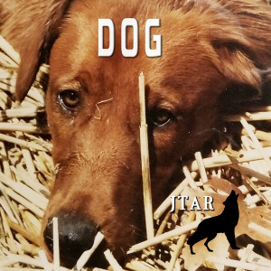 Listen to Dog song with lyrics from Jtar