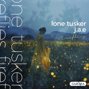 ดาวน์โหลดและฟังเพลง Fireflies พร้อมเนื้อเพลงจาก Lone Tusker